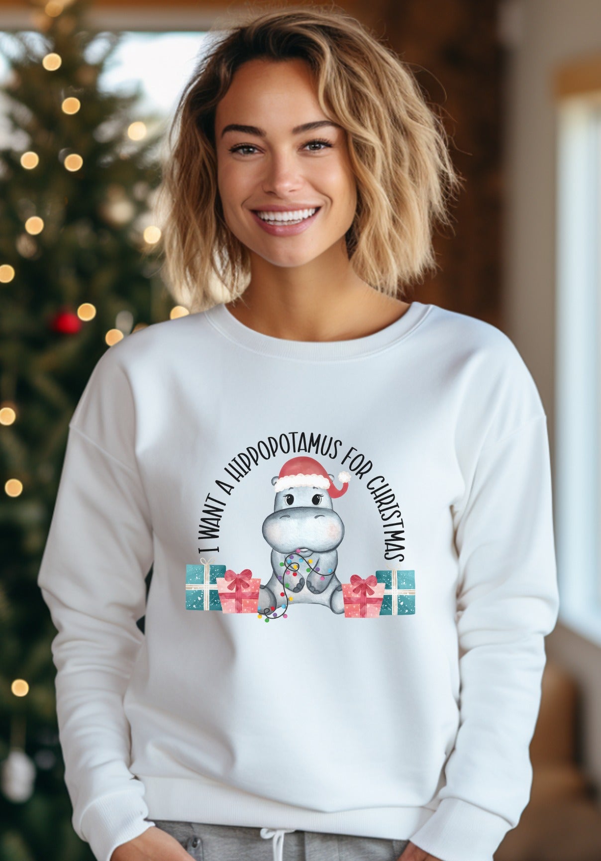 I Want A Hippopotamus For Christmas Sweatshirt product type